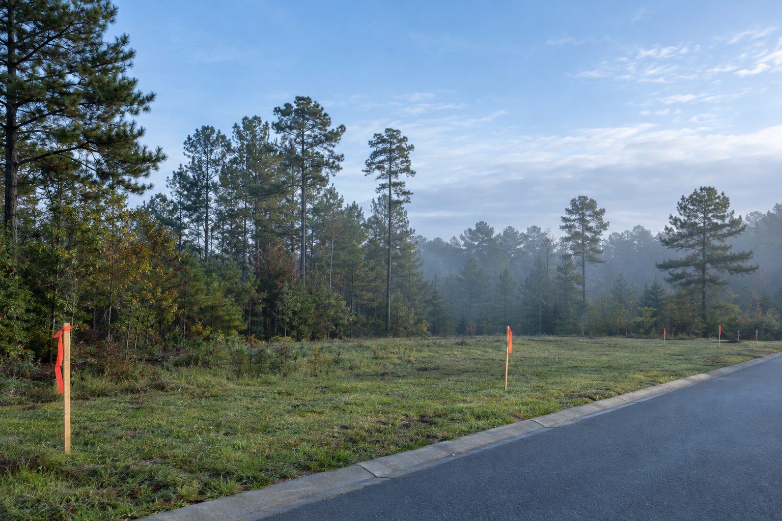Undeveloped wooded parcel marked with orange survey stakes